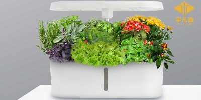 led植物燈方案開發