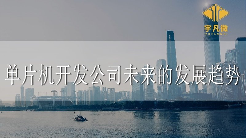 單片機開發公司未來的發展趨勢