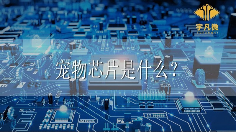 寵物芯片