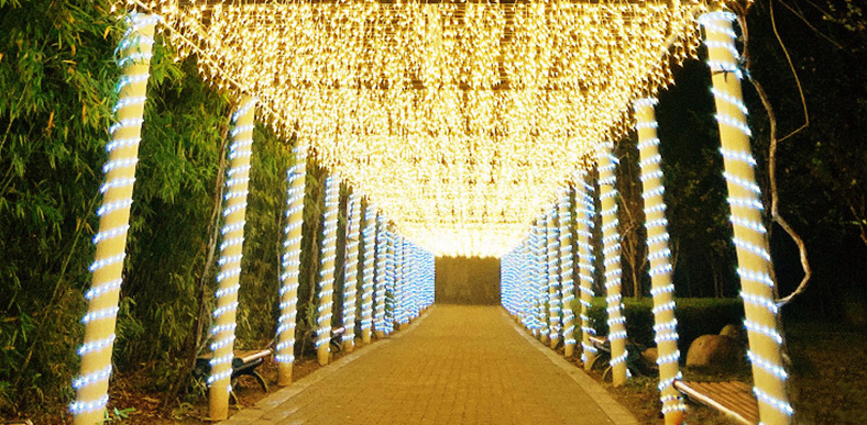 LED圣誕燈方案開發